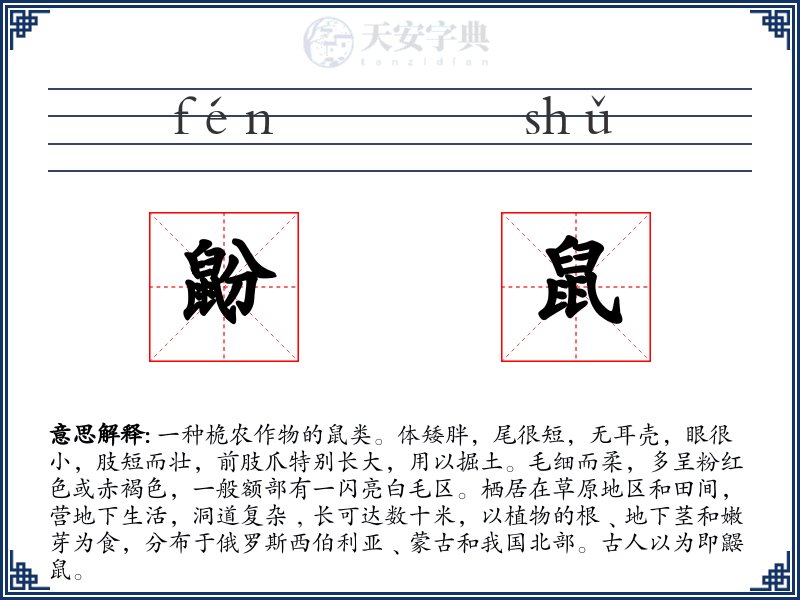 鼢鼠