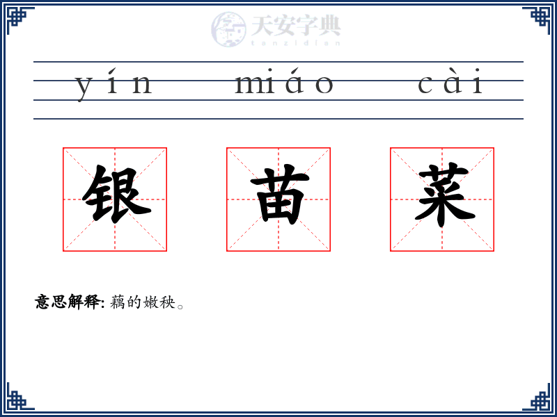 银苗菜