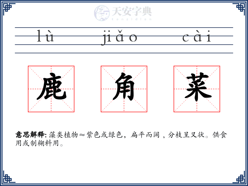 鹿角菜
