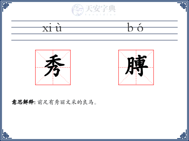 秀膊