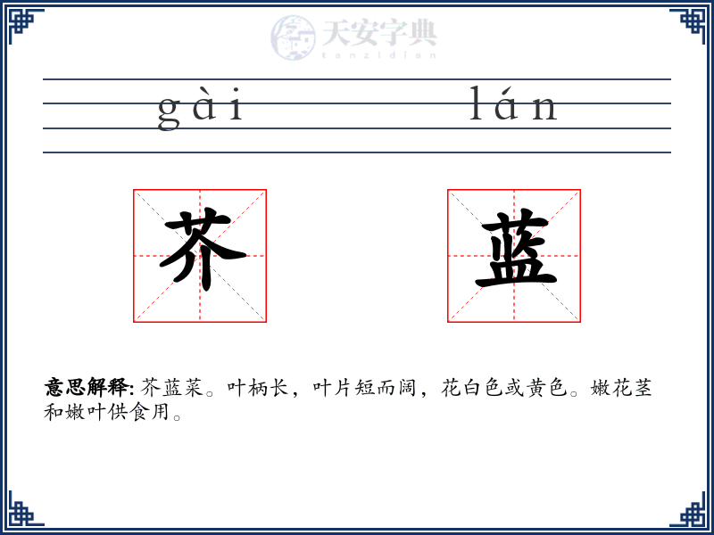 芥蓝