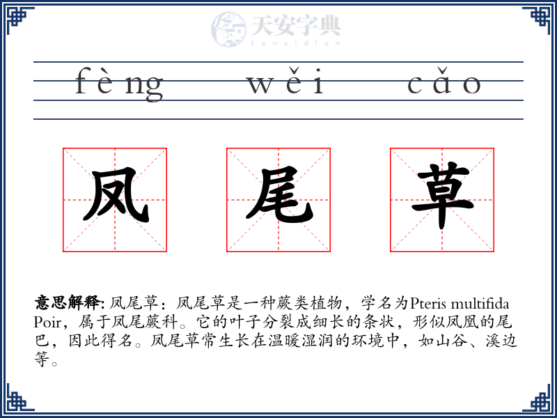 凤尾草