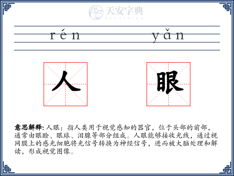 人眼