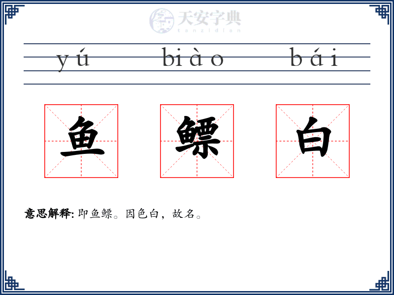 鱼鳔白