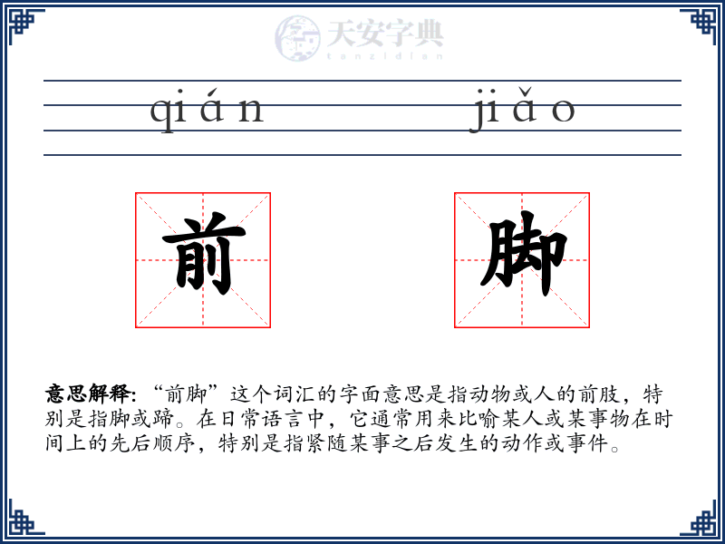 前脚