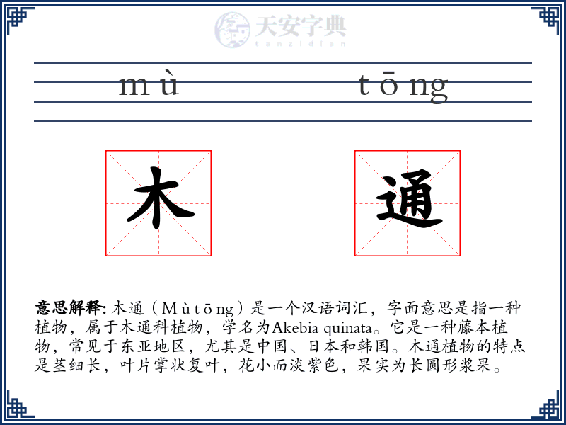 木通