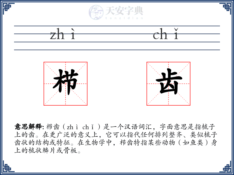 栉齿