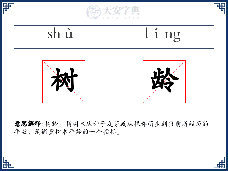 树龄