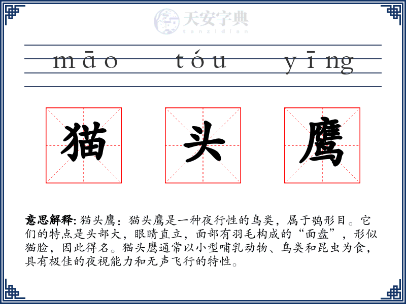 猫头鹰