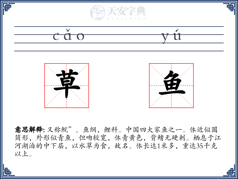 草鱼