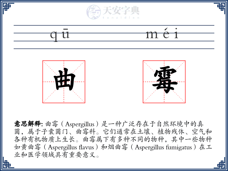 曲霉