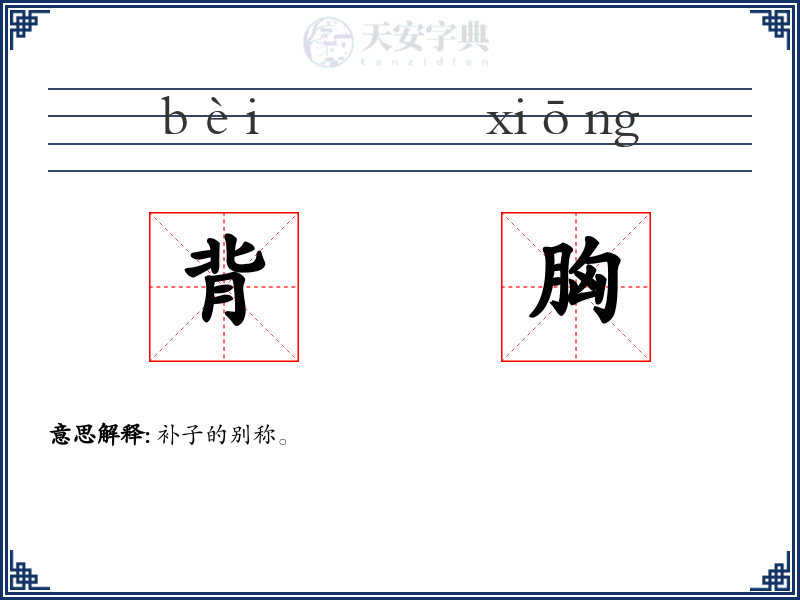 背胸