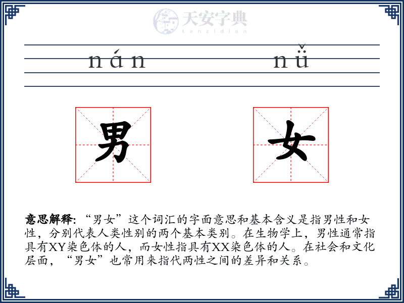 男女