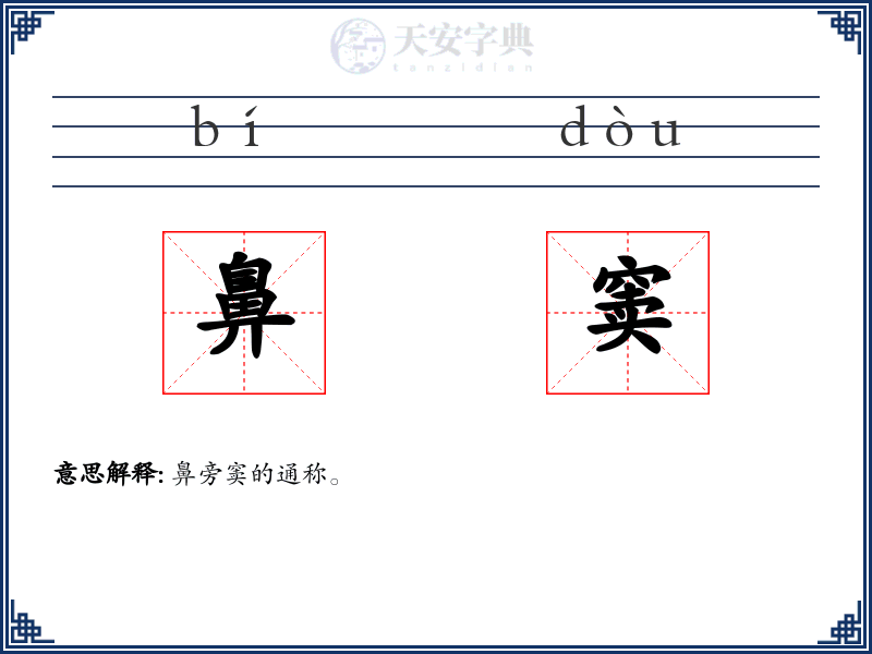 鼻窦
