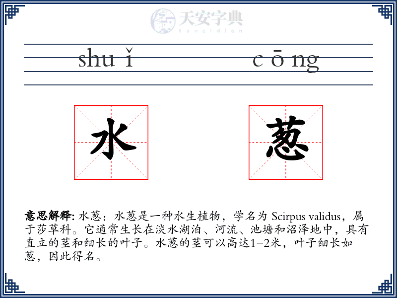 水葱