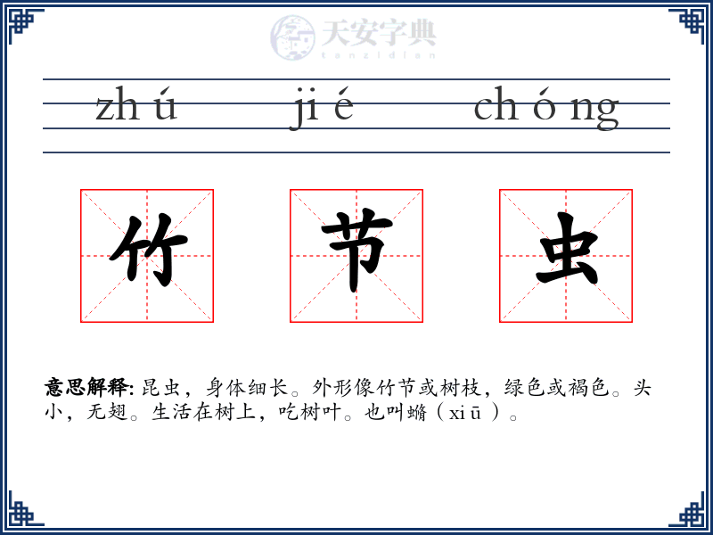 竹节虫