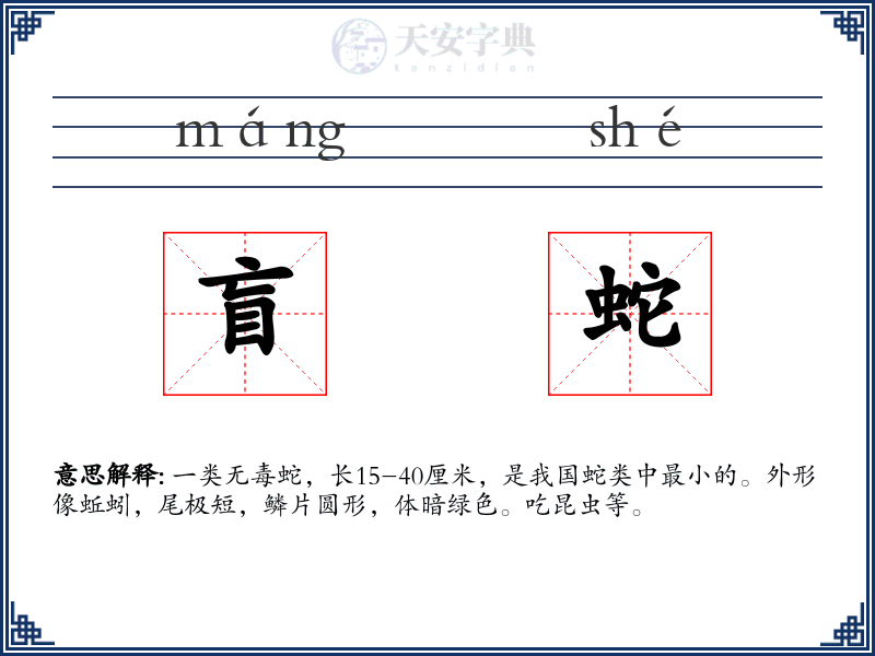 盲蛇