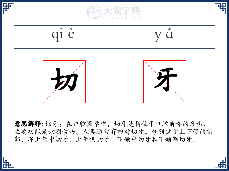切牙