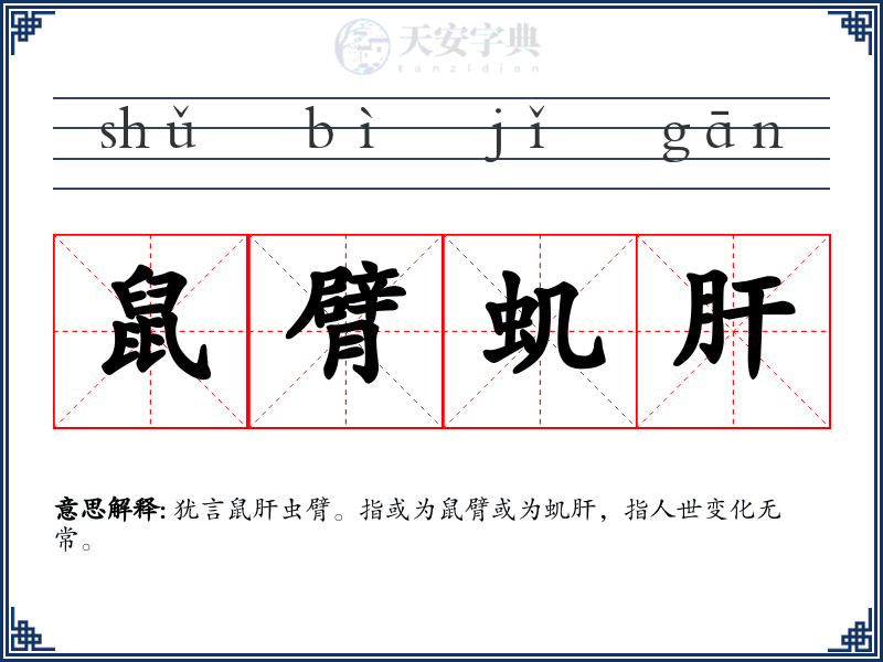 鼠臂虮肝