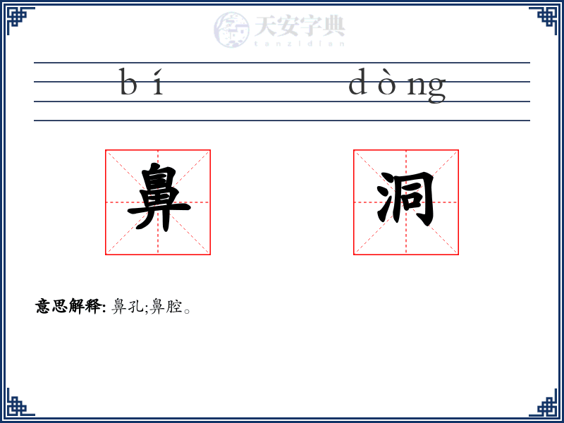 鼻洞