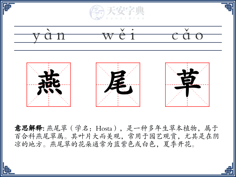 燕尾草