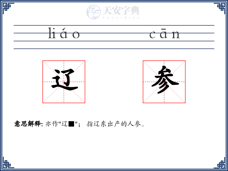 辽参