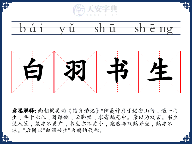 白羽书生