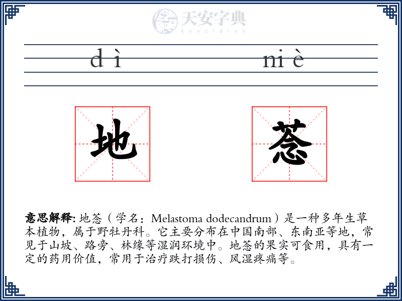 地菍