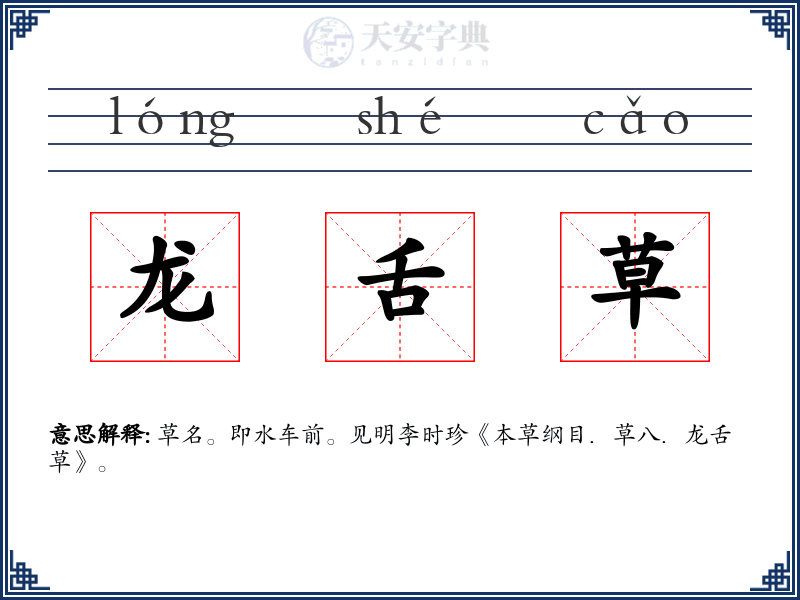 龙舌草