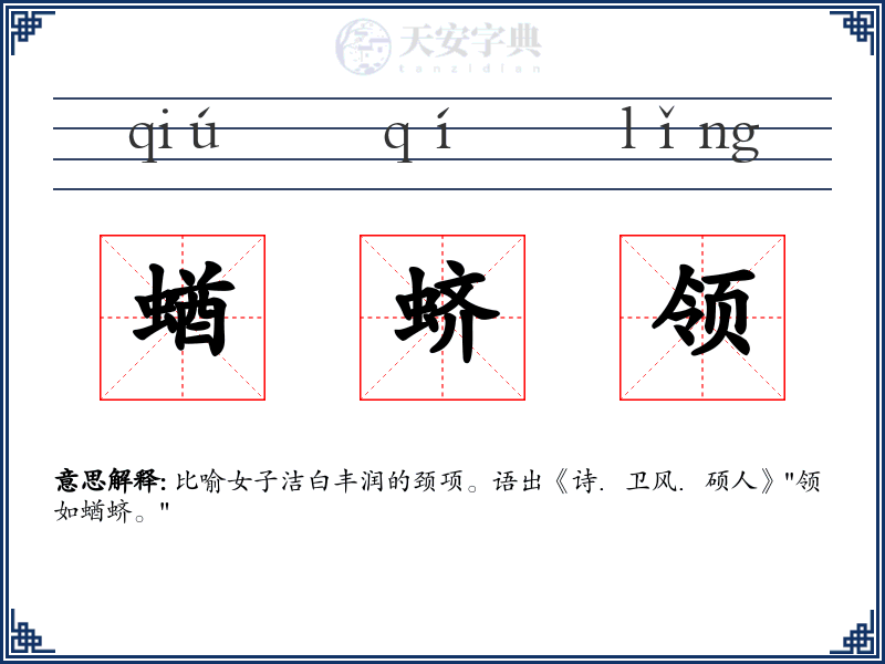 蝤蛴领