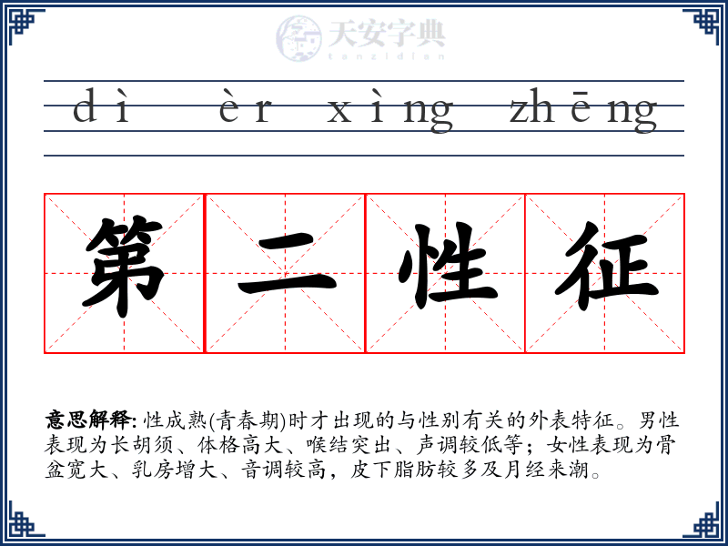 第二性征