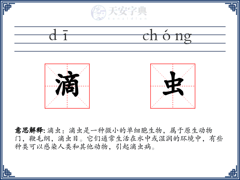 滴虫