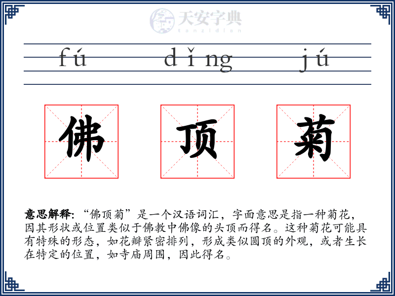 佛顶菊