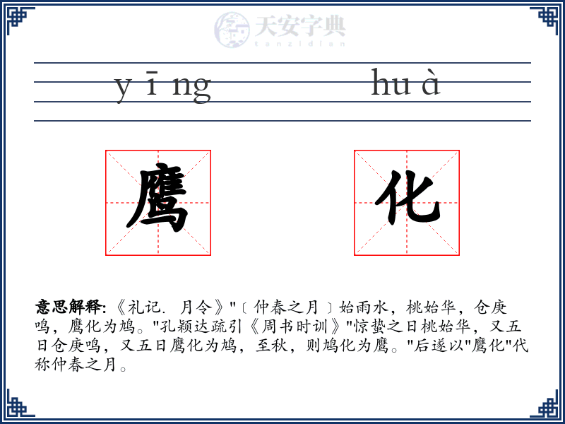 鹰化