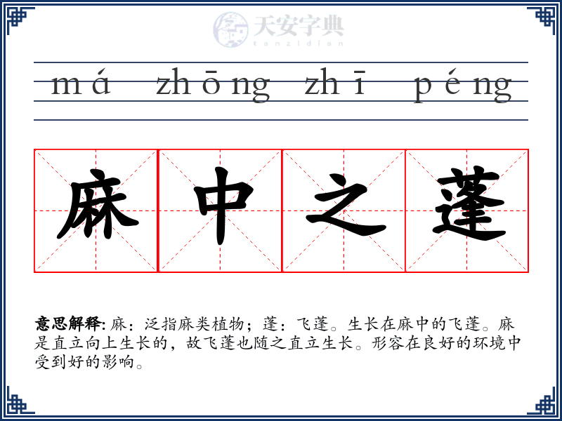 麻中之蓬