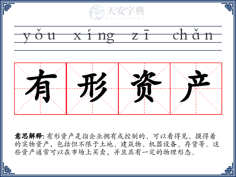 有形资产