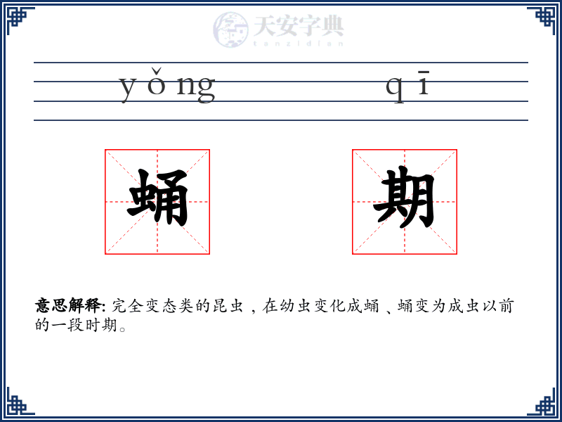蛹期