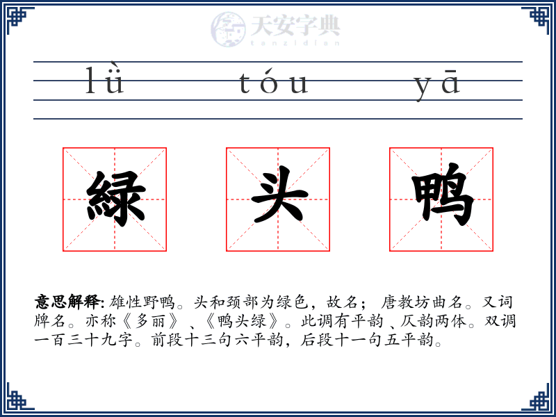緑头鸭