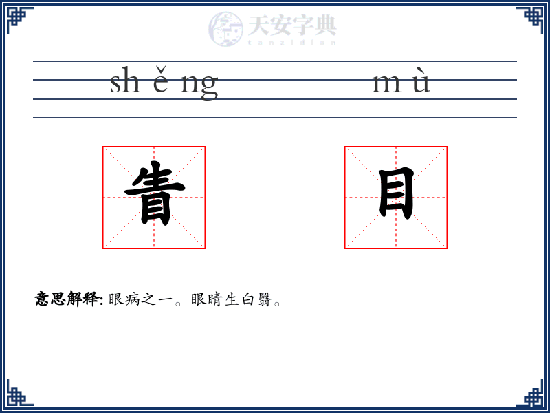 眚目