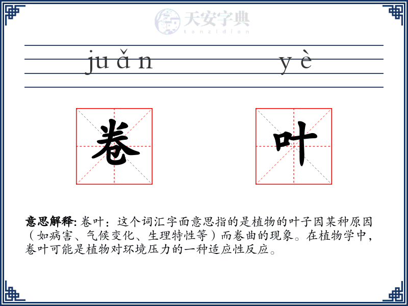 卷叶