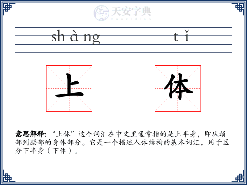 上体