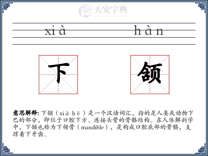 下颔