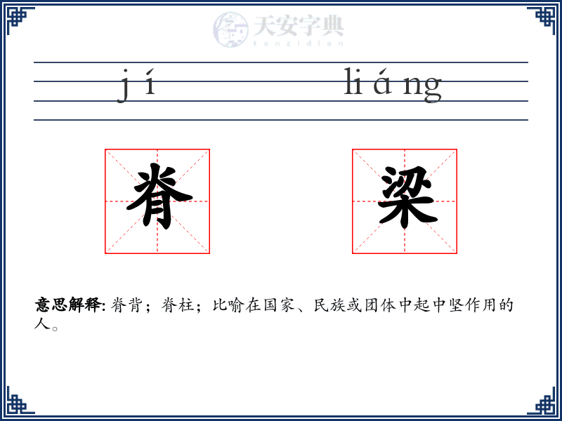脊梁