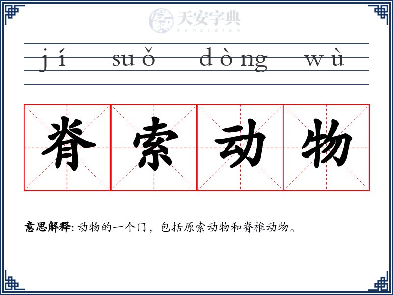 脊索动物