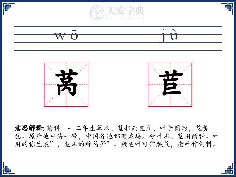 莴苣