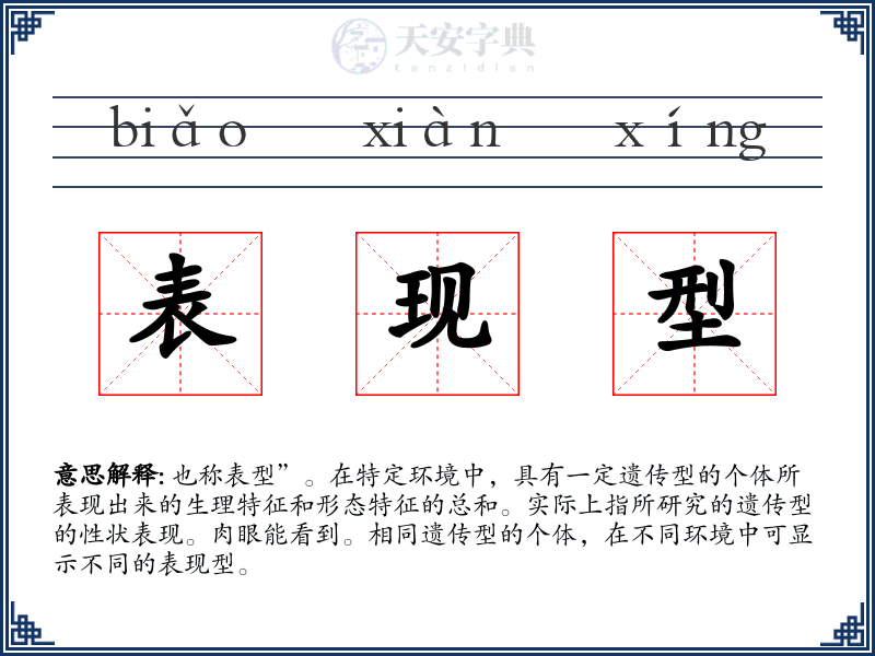 表现型