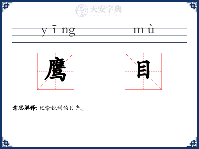 鹰目