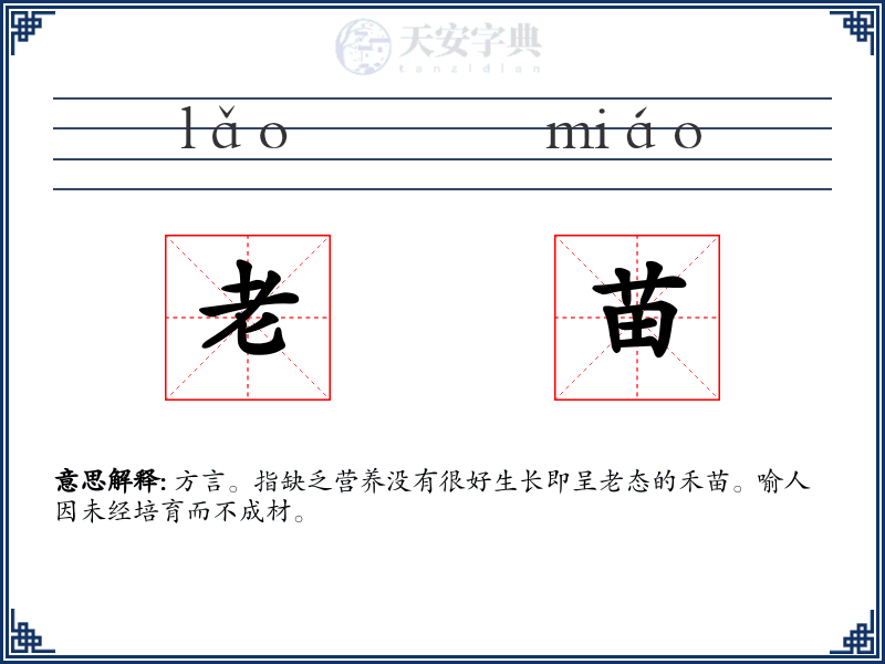 老苗