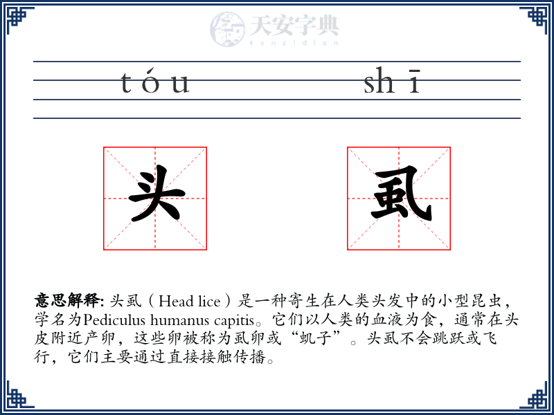 头虱