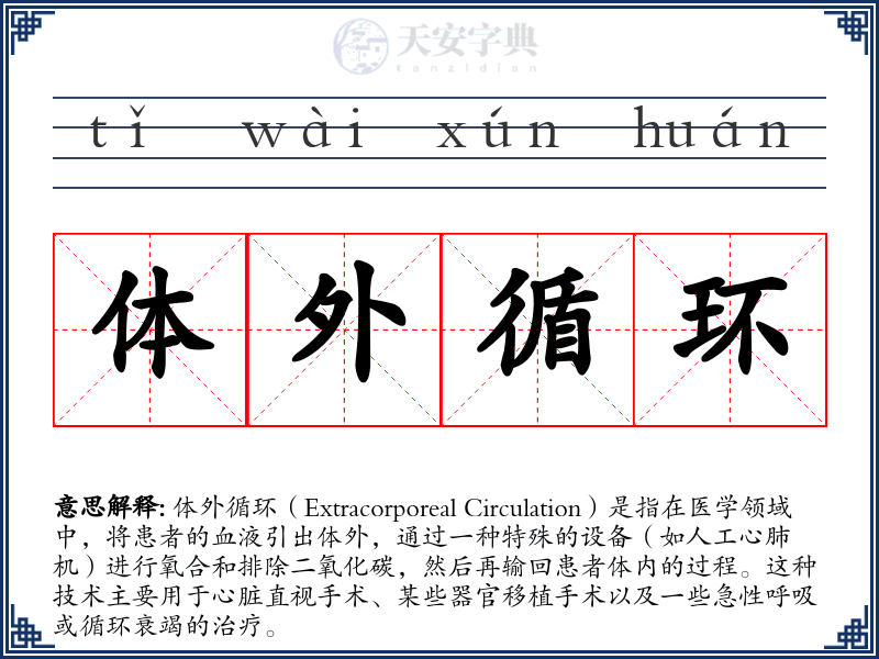 体外循环